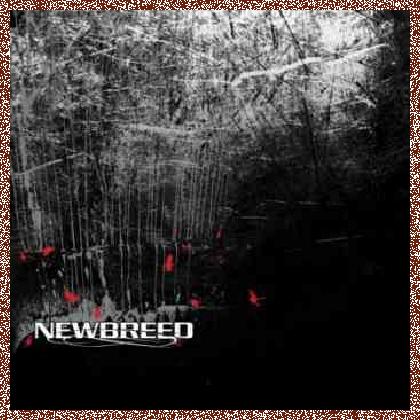 NeWBReeD – NeWBReeD (2011)