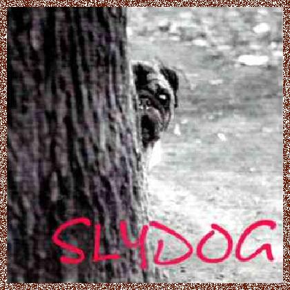 Slydog – Slydog (1997)